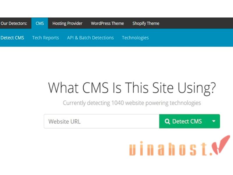 kiem tra website viet bang ngon ngu gi