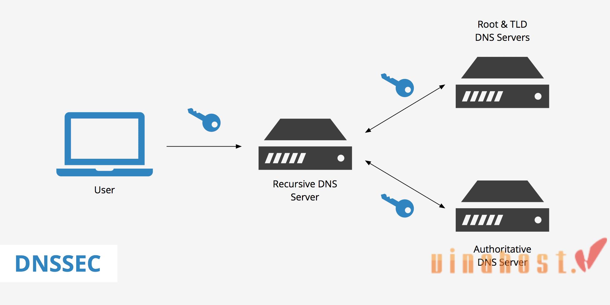 what-is-a-nameserver
