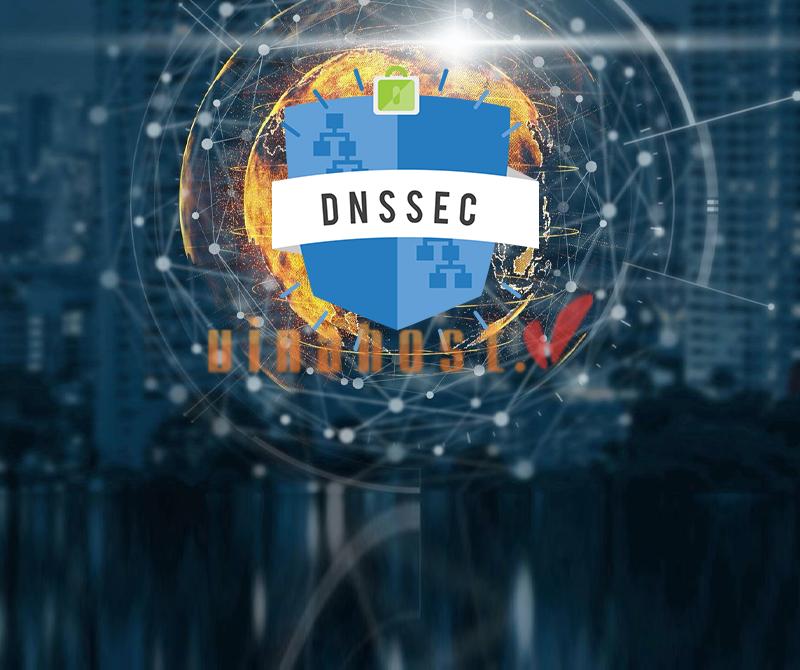 dns security