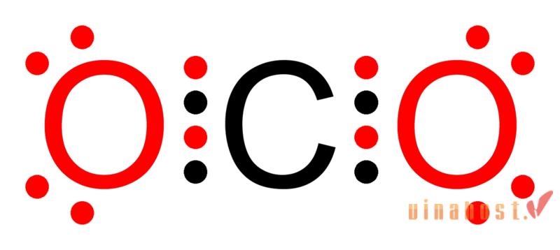 uu diem cua octet la gi
