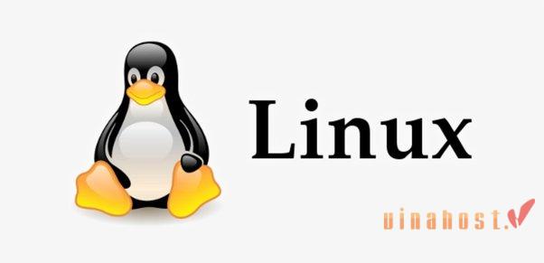 loi ich cua cloud hosting linux