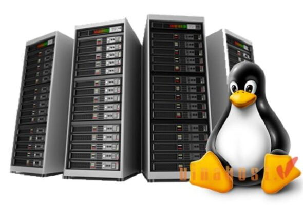 tinh nang cua cloud hosting linux la gi