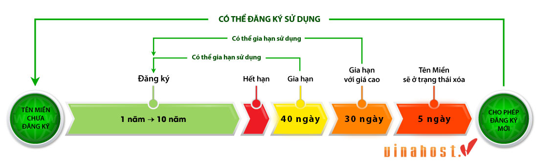 vong doi ten mien