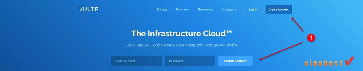 vps vultr