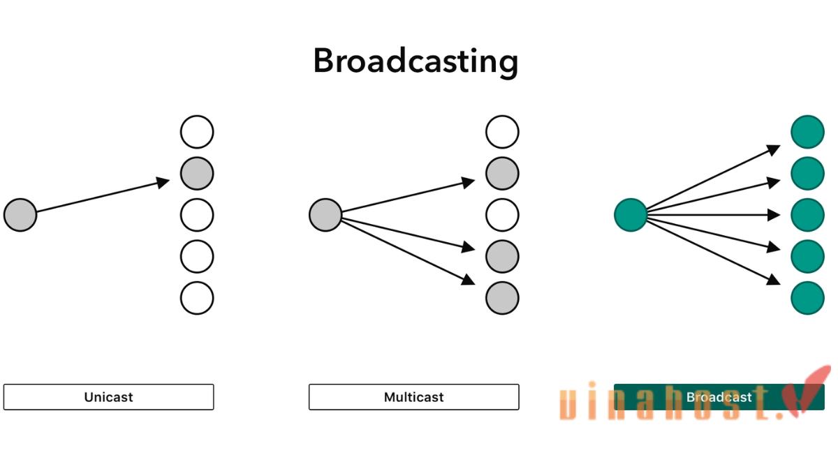 broadcast la gi