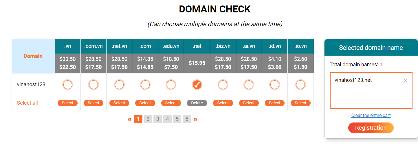 what is domain net