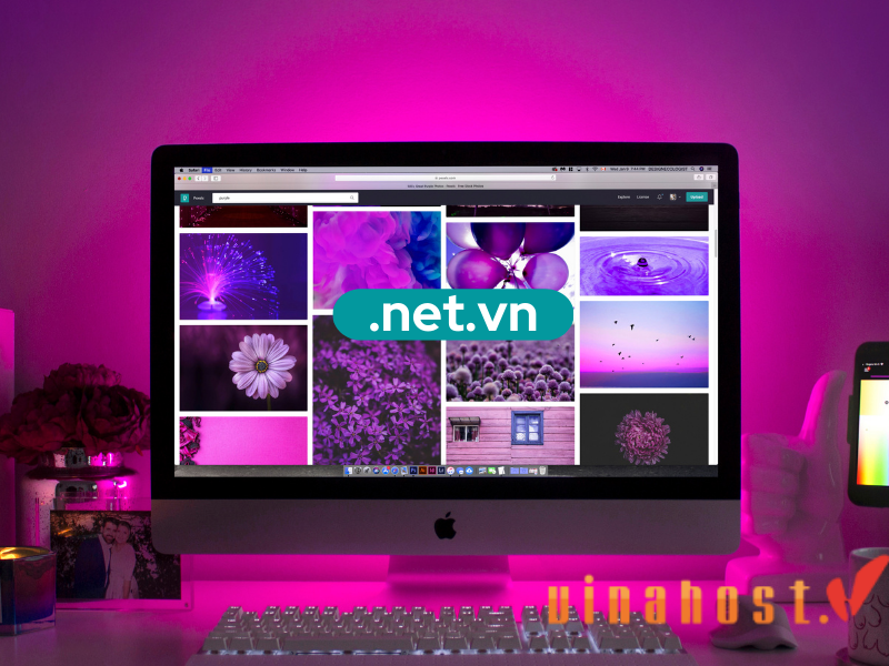 ten mien .net.vn