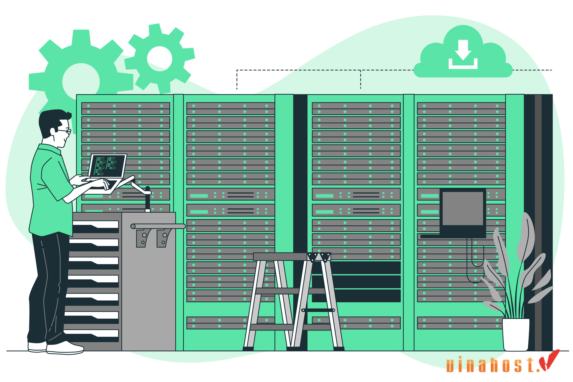 what is colocation