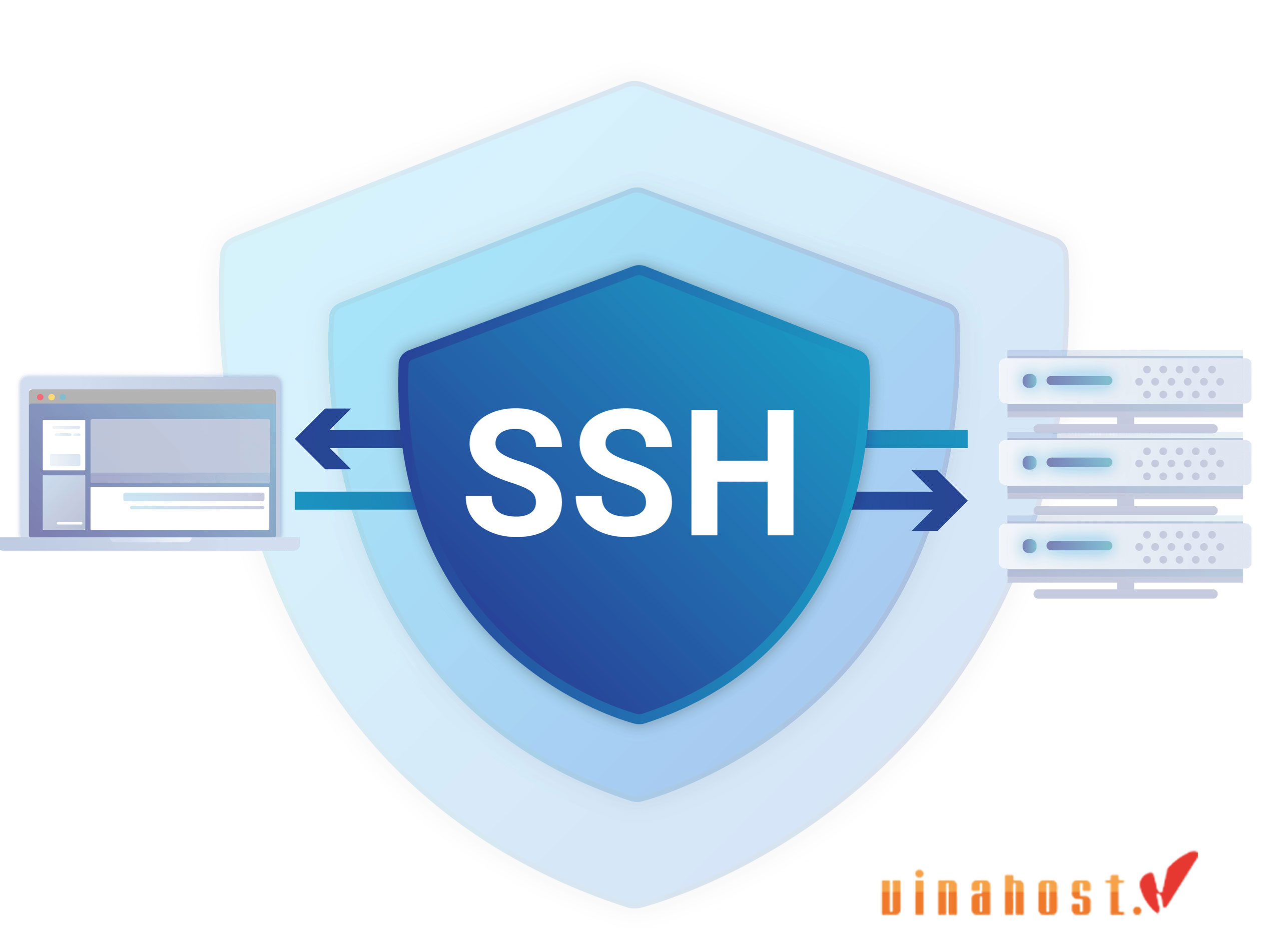 what is ssh