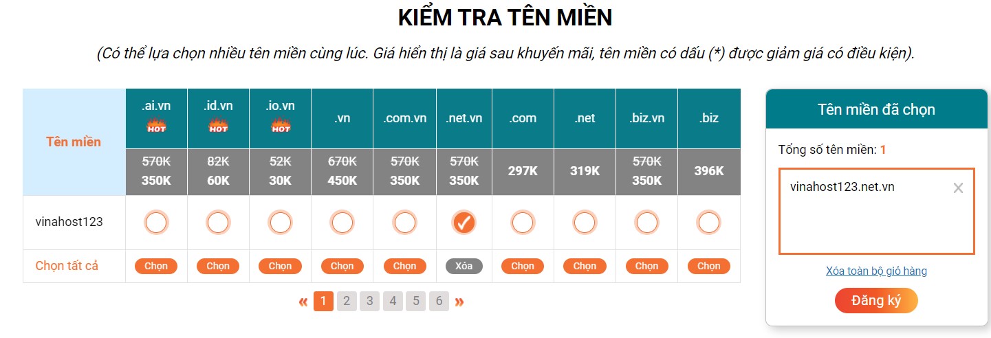 ten mien .net.vn