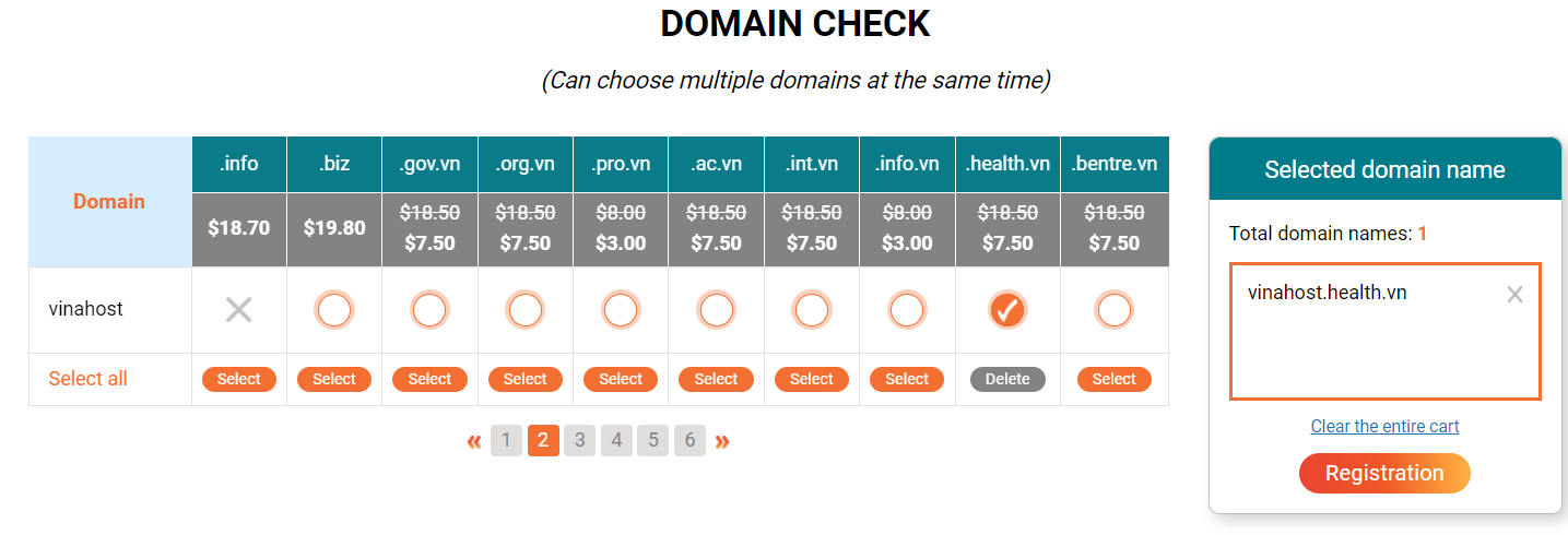 what is .health.vn domain