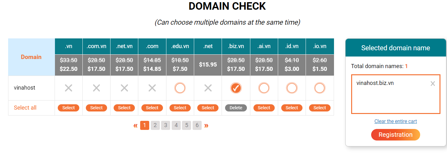 what is .biz.vn domain