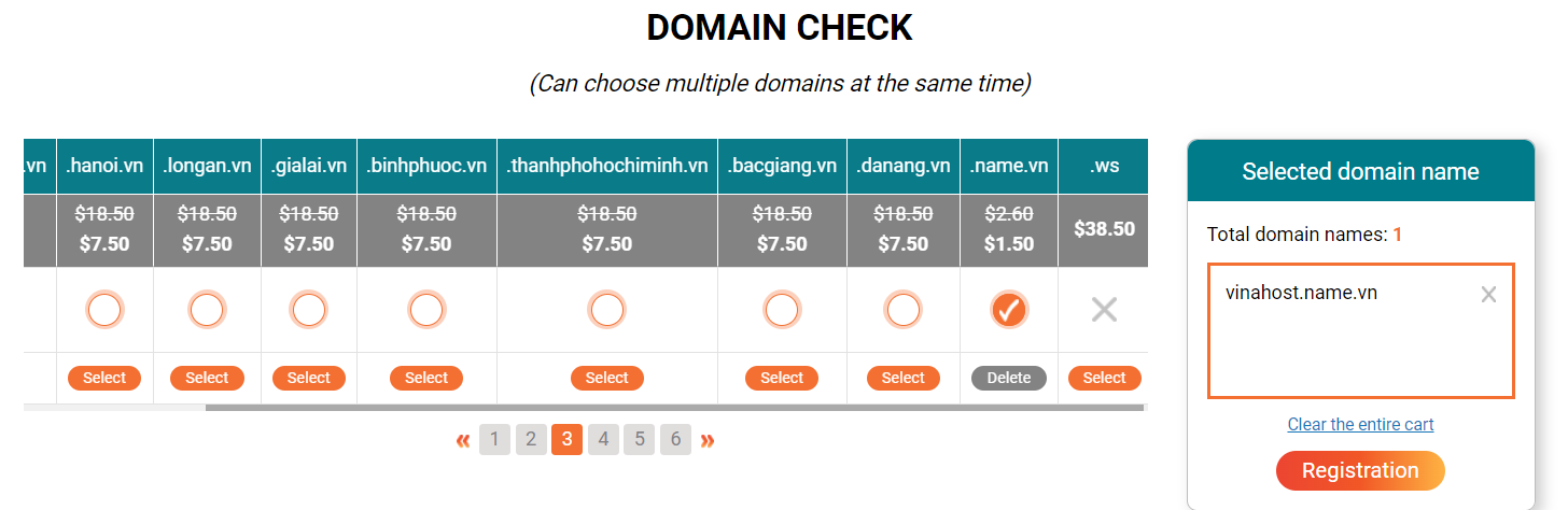 what is .name.vn domain