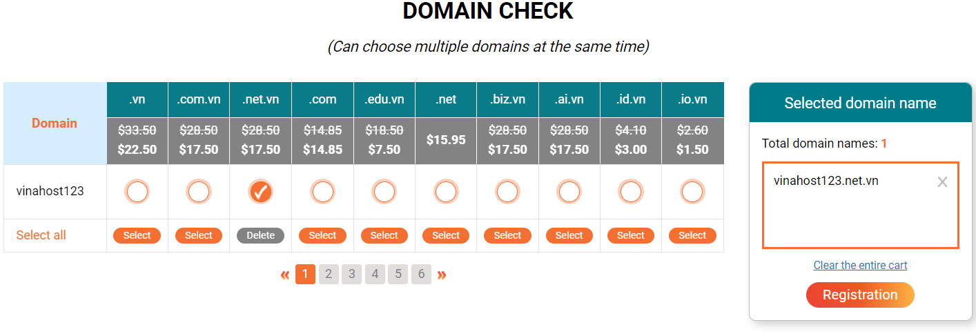 what is .net.vn domain