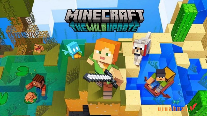 hosting minecraft server