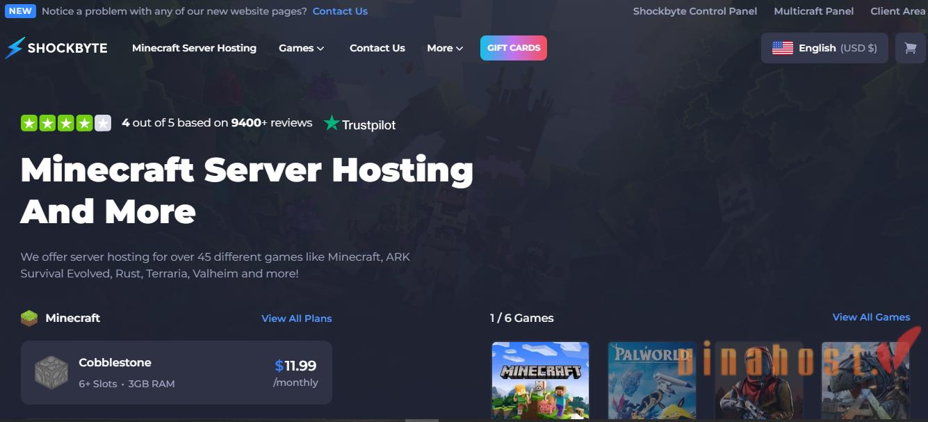 Hosting Minecraft Server