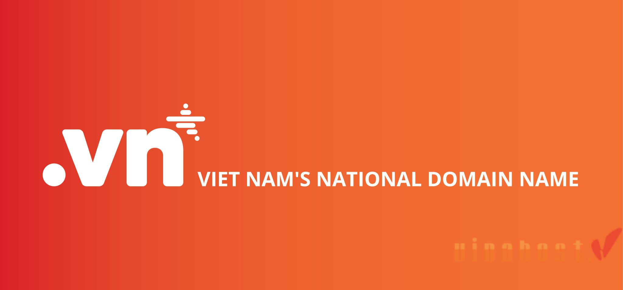 [2026] What is .info.vn domain? | Overview of domain names .info.vn