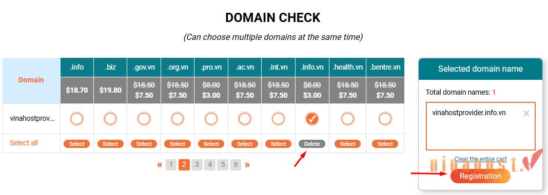 what is info vn domain 2 - #1 Hosting Giá Rẻ, VPS Giá Rẻ, Email, Cloud Server | VinaHost.VN What is .info.vn domain?