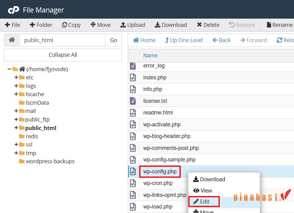 loi error establishing a database connection xampp