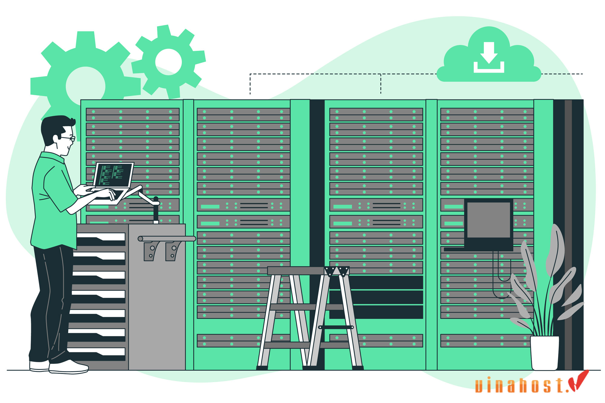 managed vps and unmanaged vps