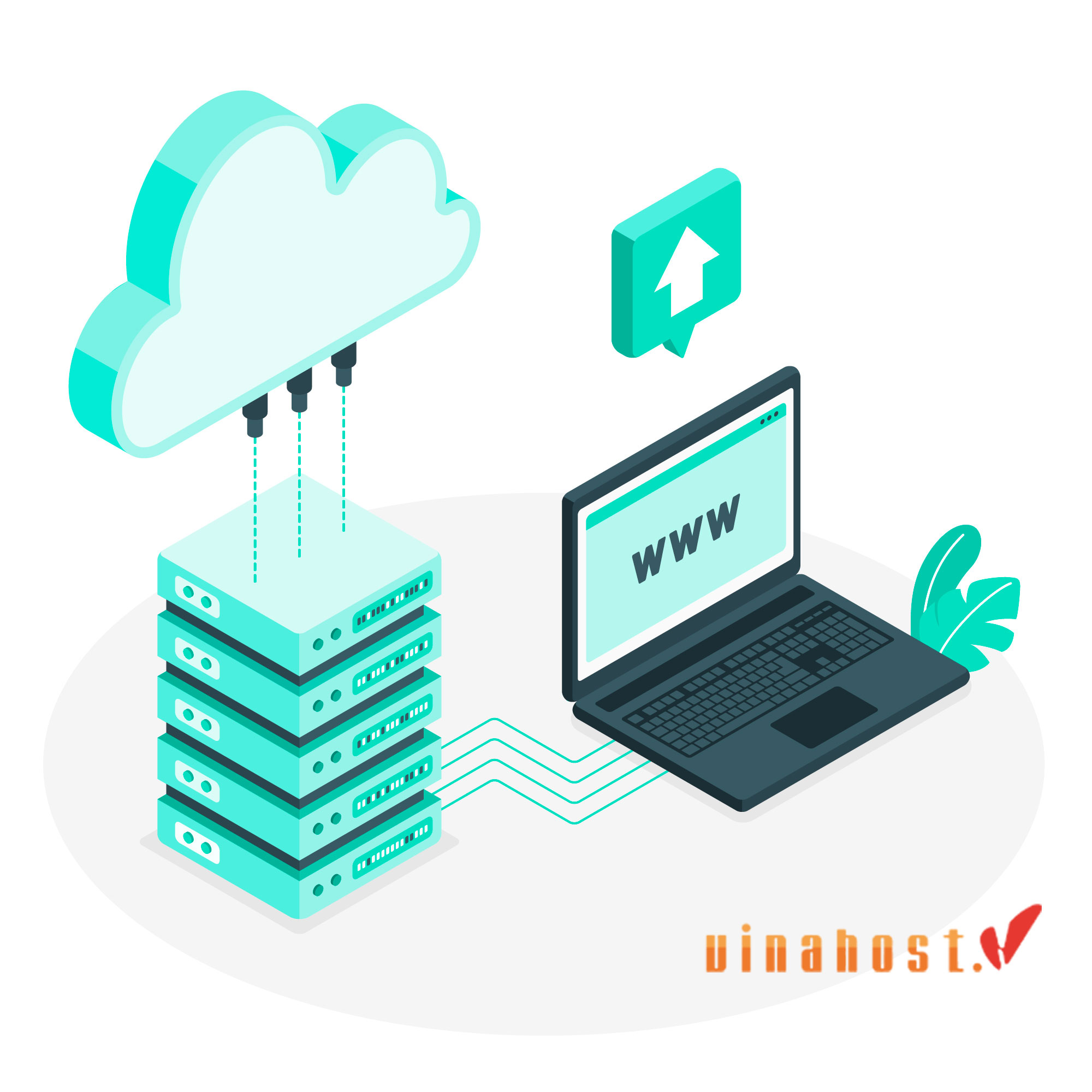 vps va dedicated server