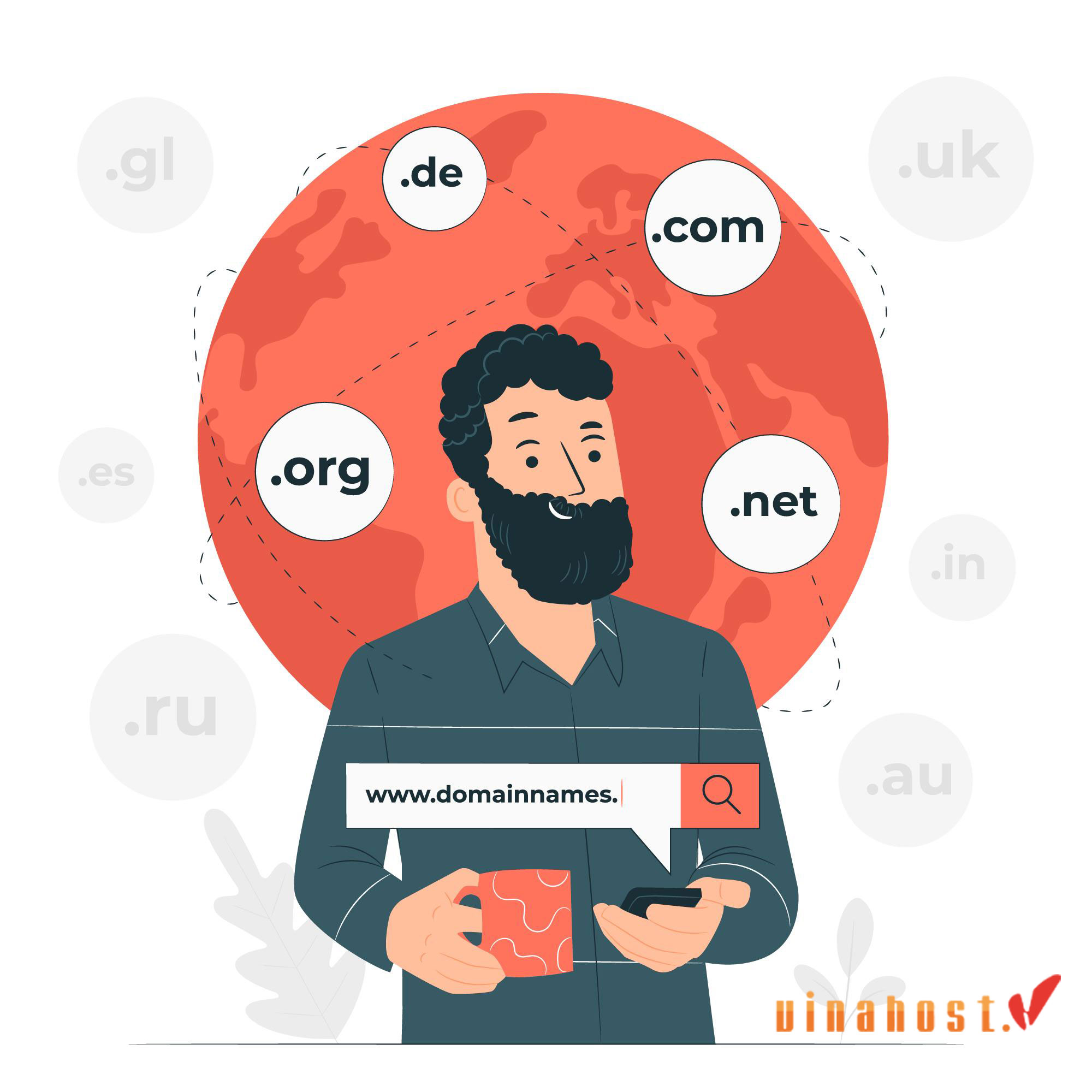 What is a Domain Extension