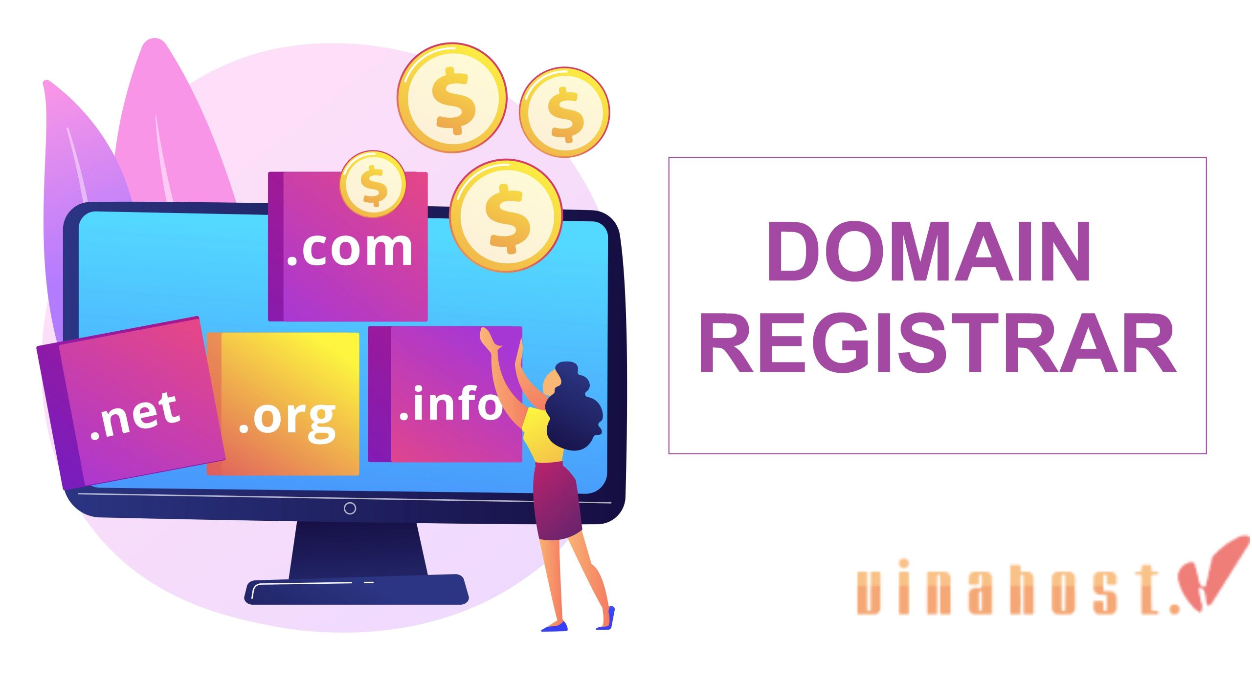 What is a Domain Registrar