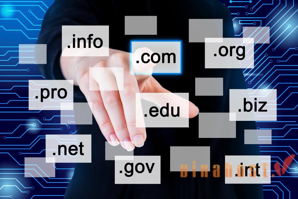 What is a Domain Registrar