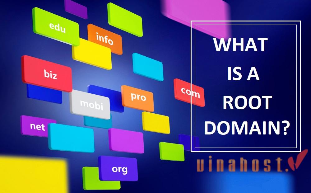 What is a root domain