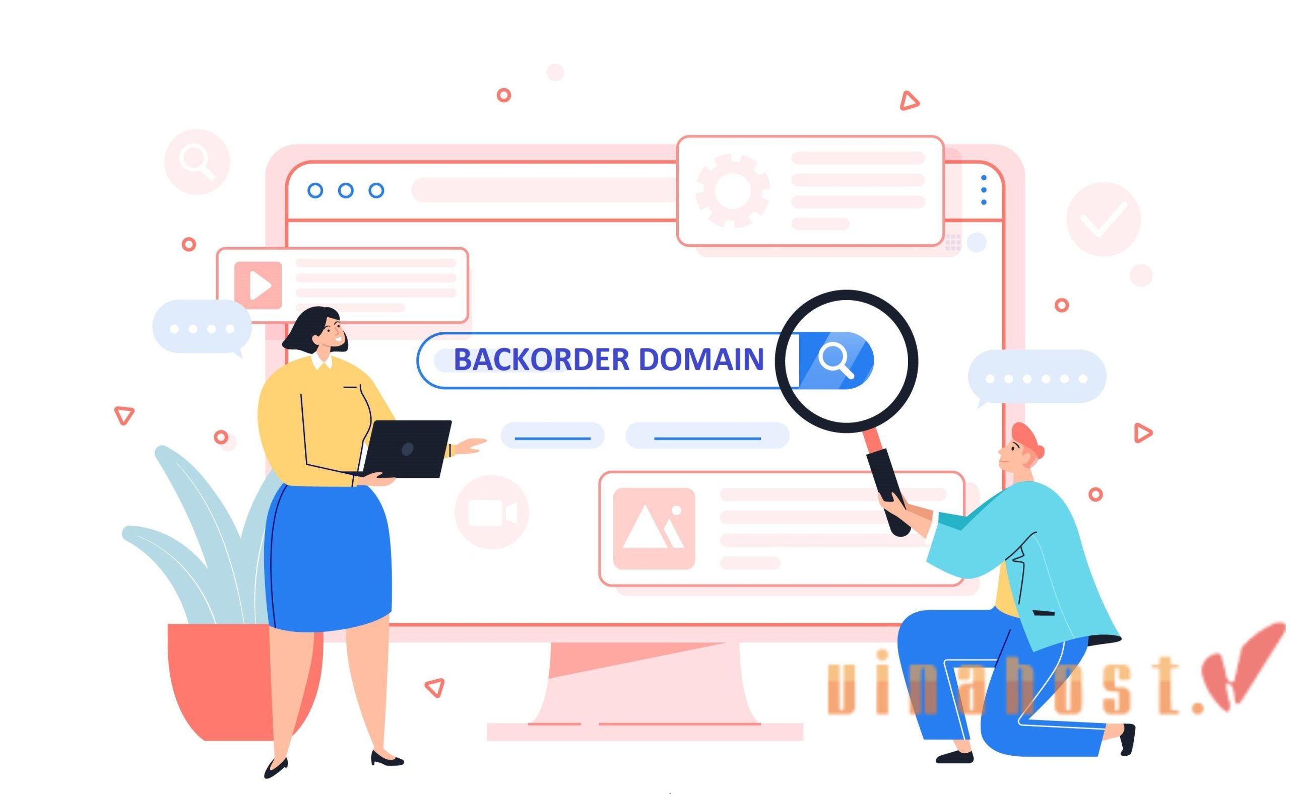 What is Domain Backorder?