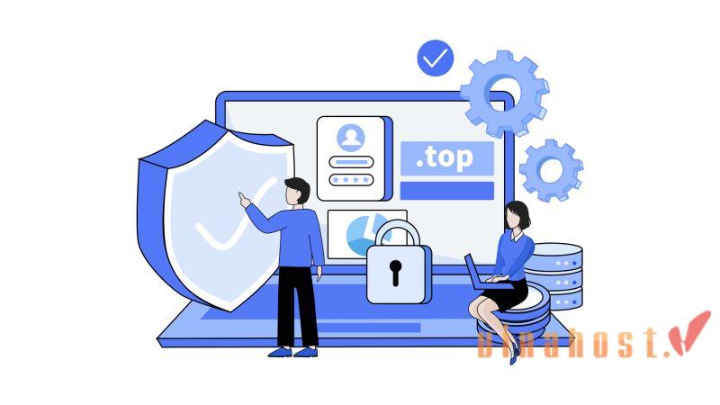 What is Registry Lock