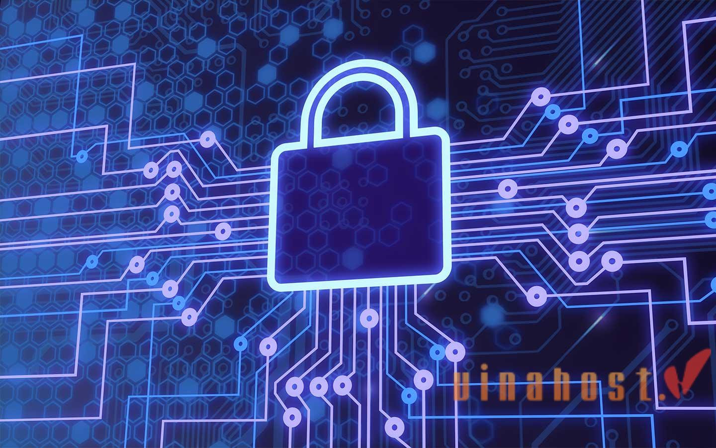What is Registry Lock