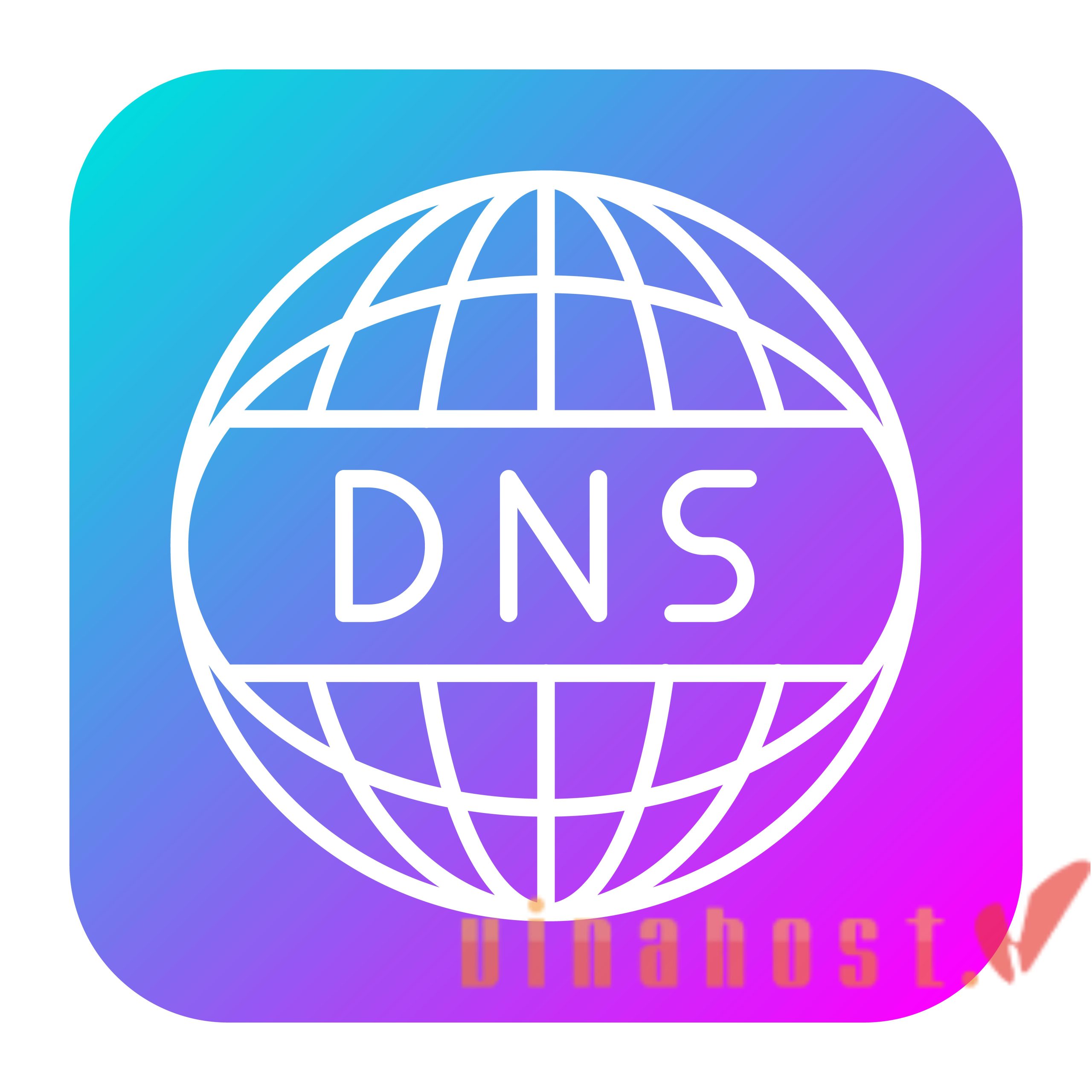 What is VNNIC