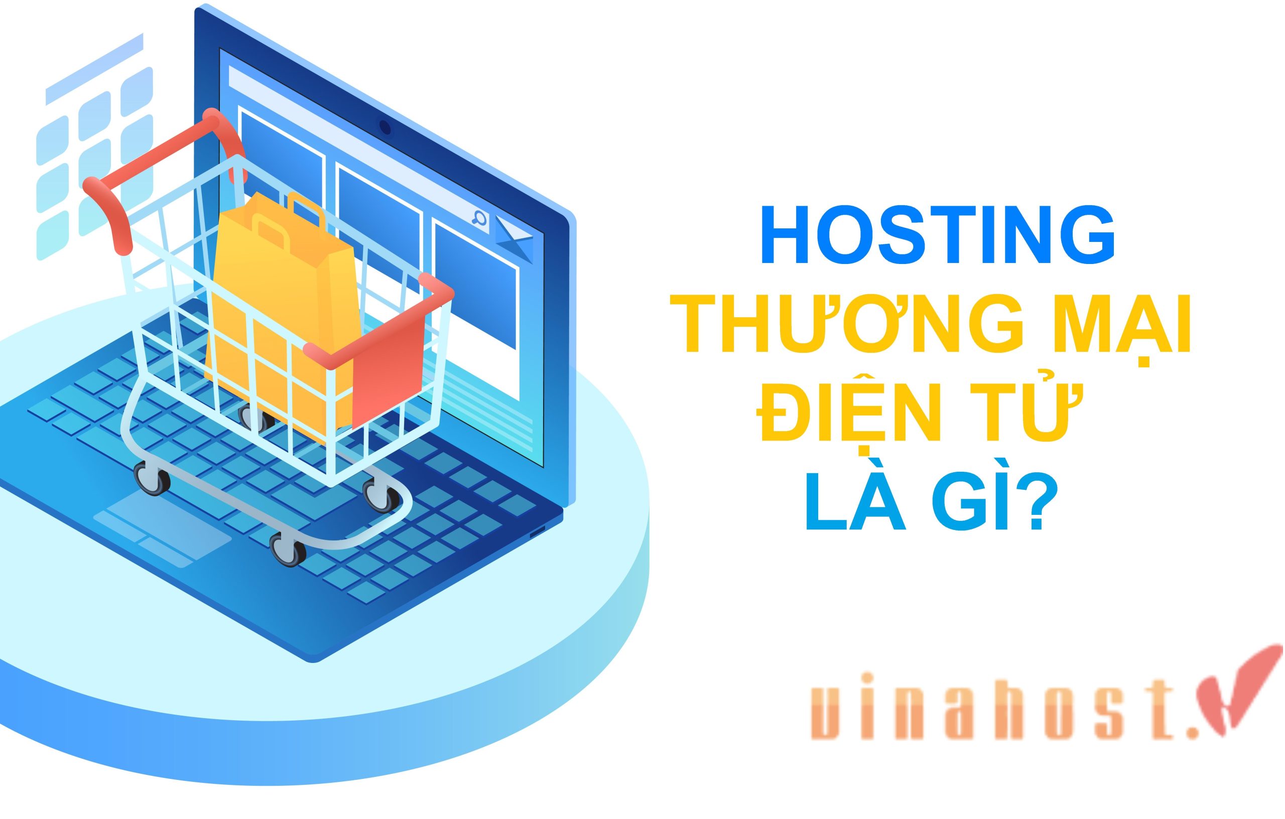 Hosting thương mại điện tử là gì
