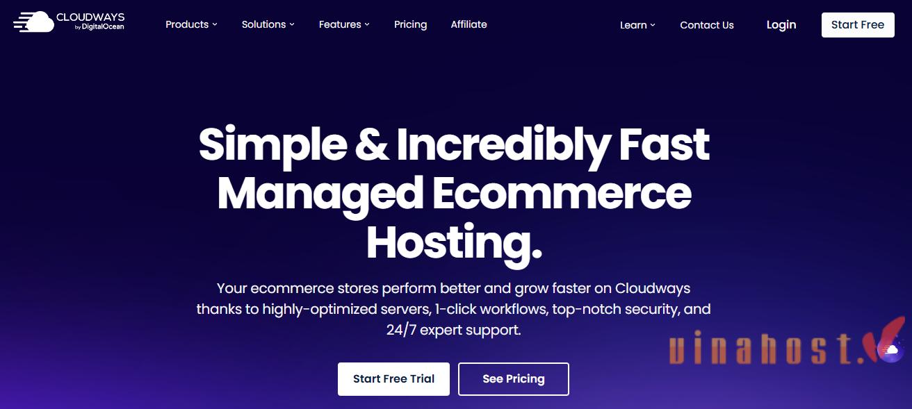 Hosting thương mại điện tử là gì