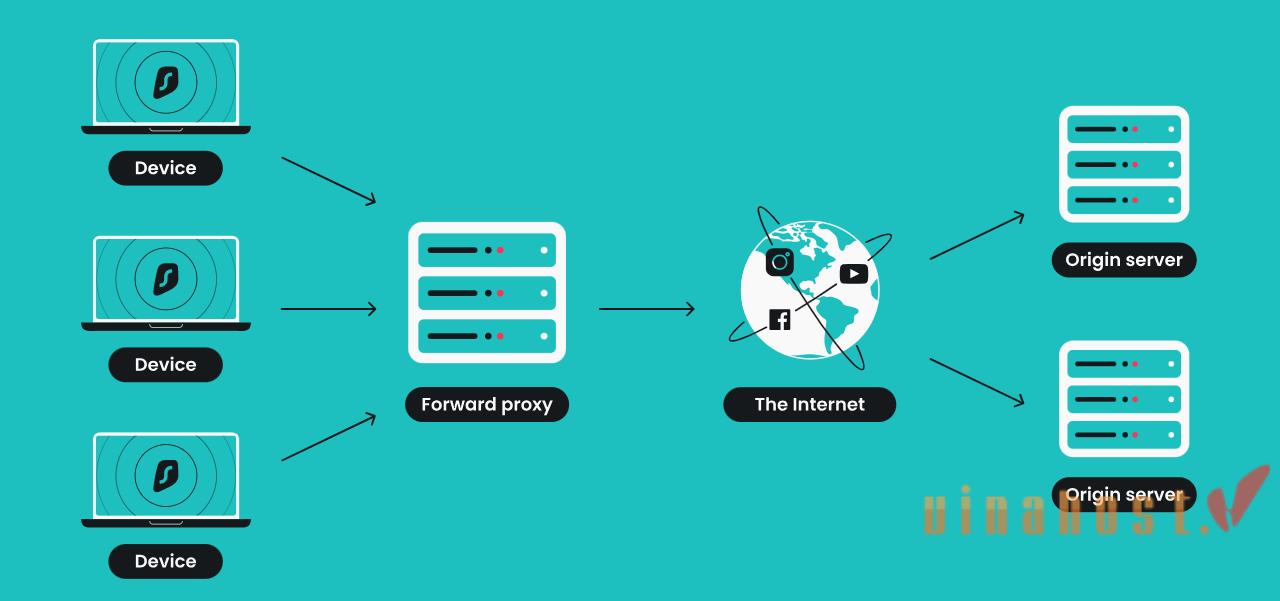 What is a Proxy Server?