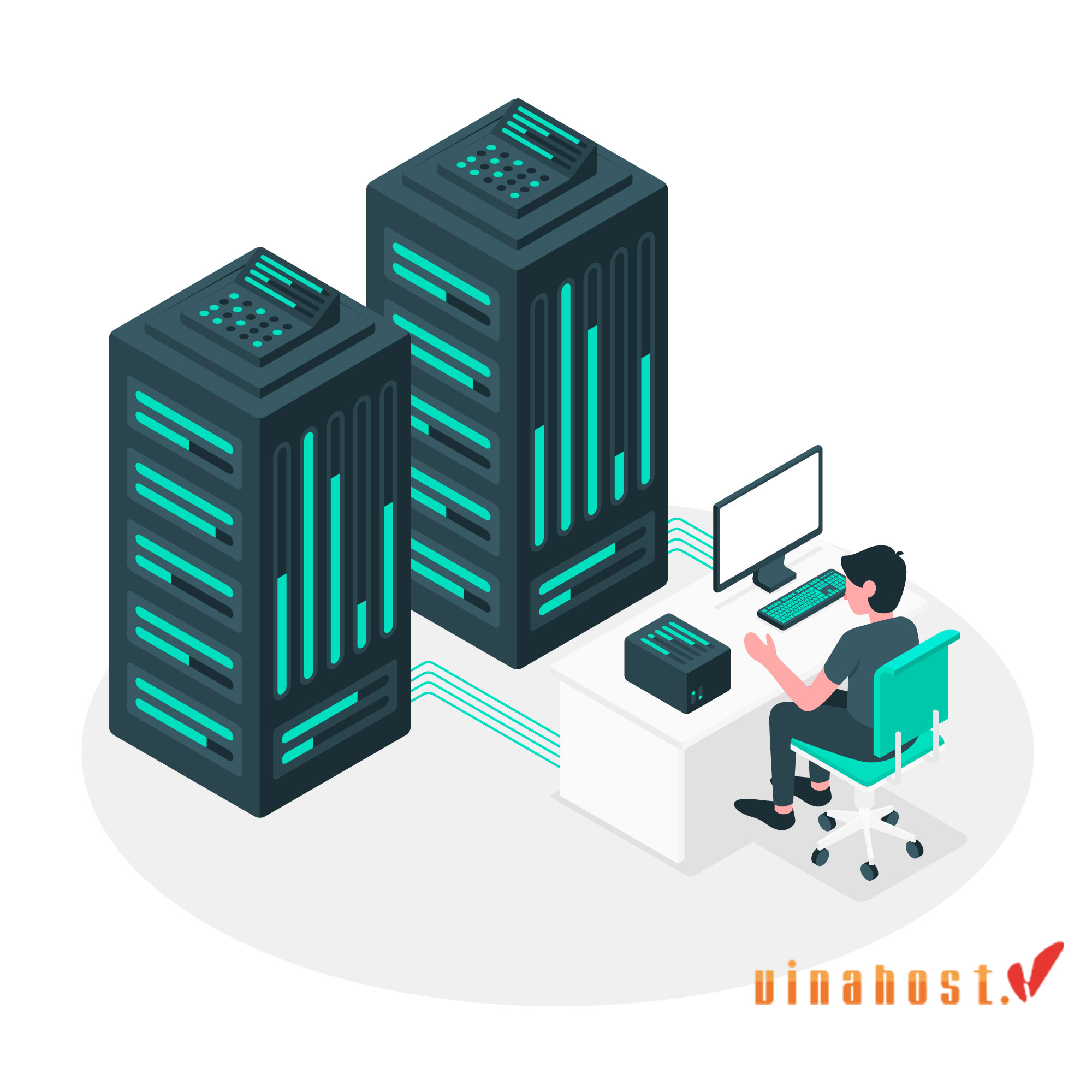 what is server management