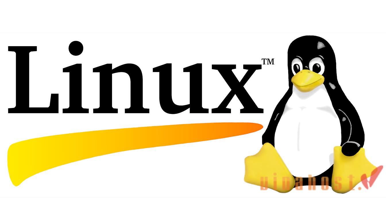 Windows Server và Linux Server