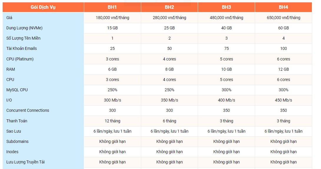 Hosting Doanh Nghiệp tại VinaHost