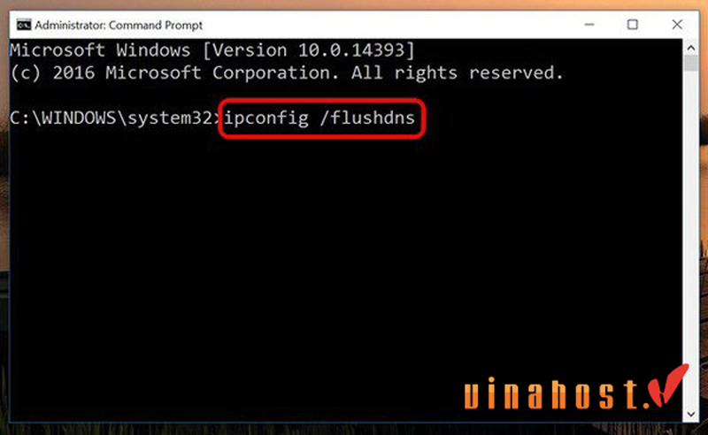 flush dns
