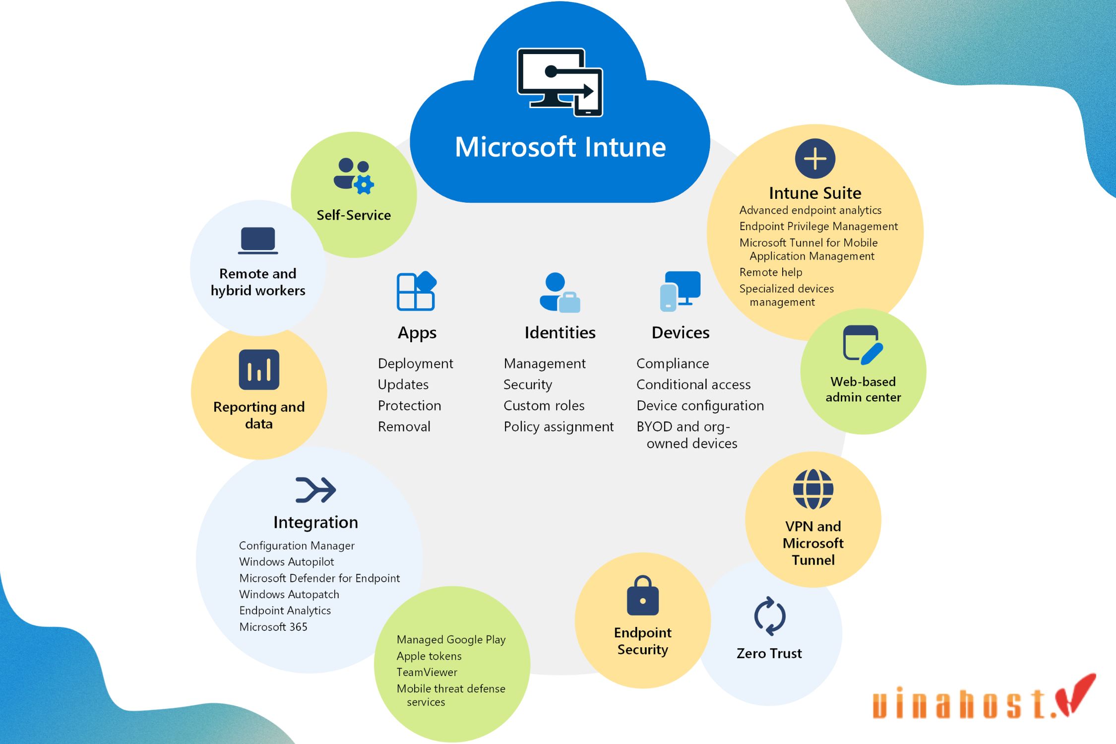 microsoft 365 la gi