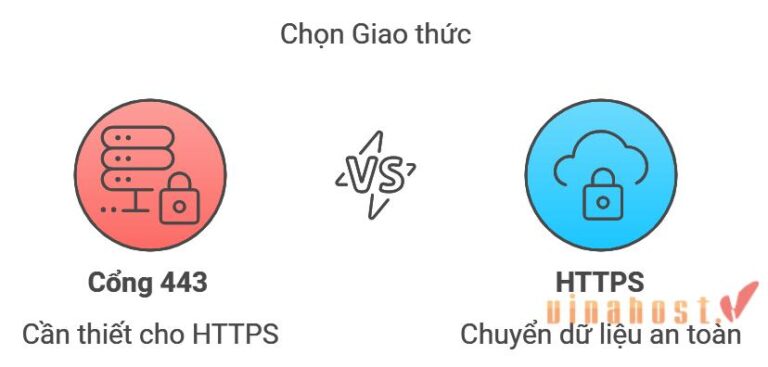 [2026] Port 443 là gì? Cổng 443 thường dùng để làm gì?