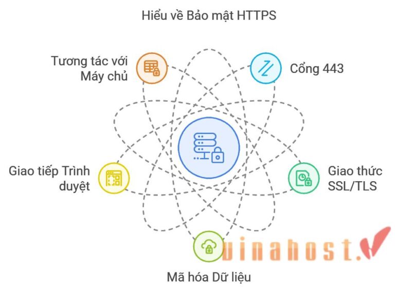 [2026] Port 443 là gì? Cổng 443 thường dùng để làm gì?