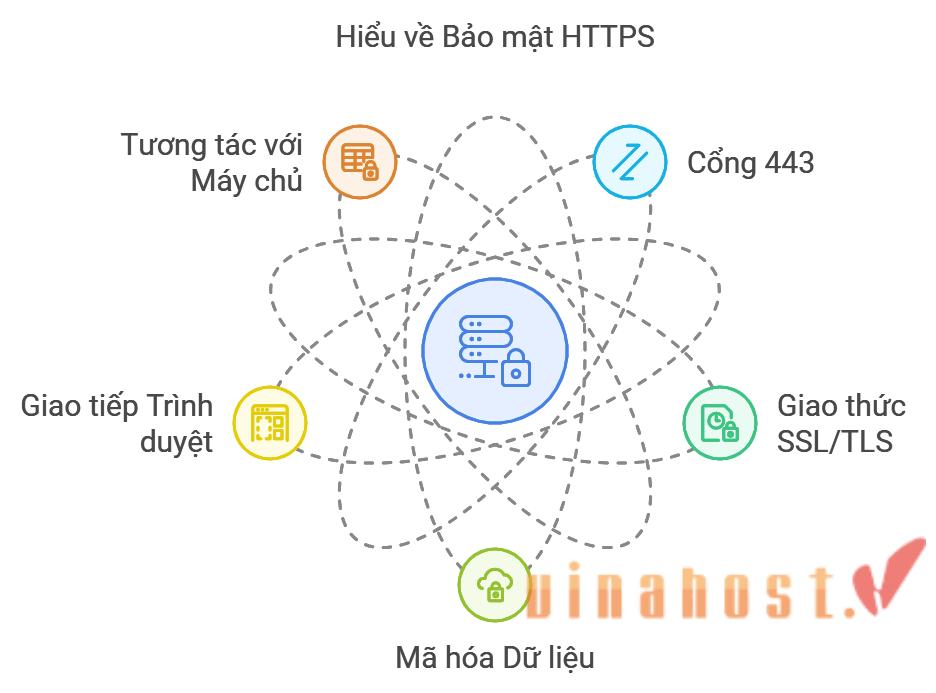 [2026] Port 443 là gì? Cổng 443 thường dùng để làm gì?