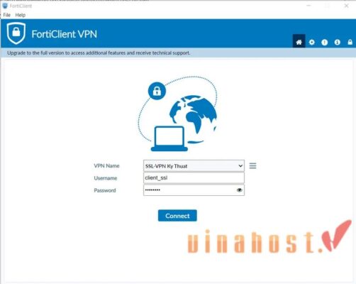 ssl vpn