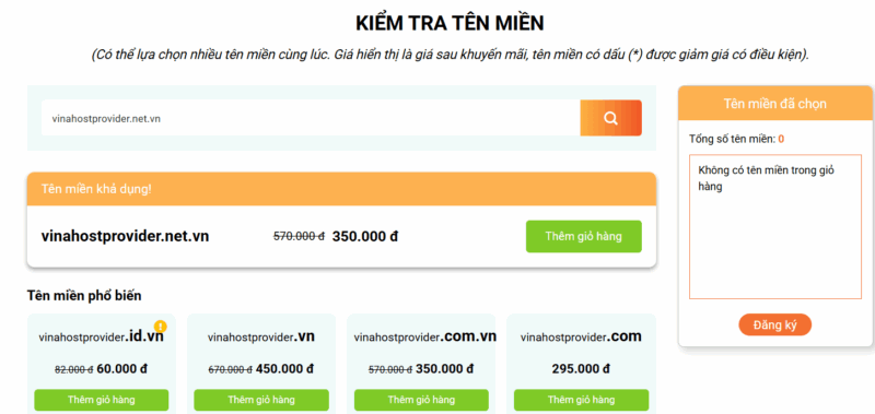 ten mien .net.vn la gi