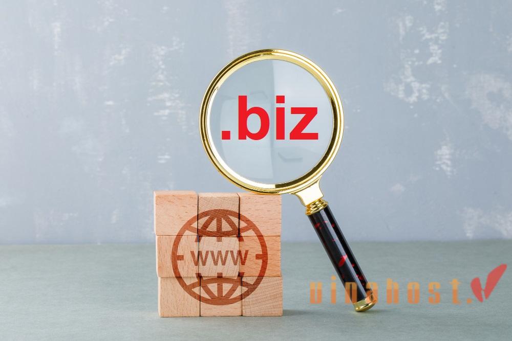 What is .biz domain