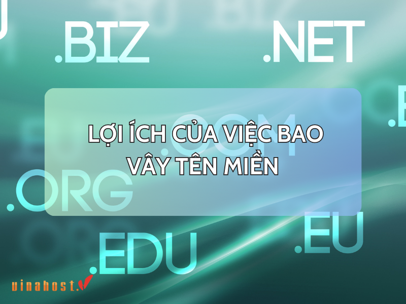 bao vay ten mien la gi