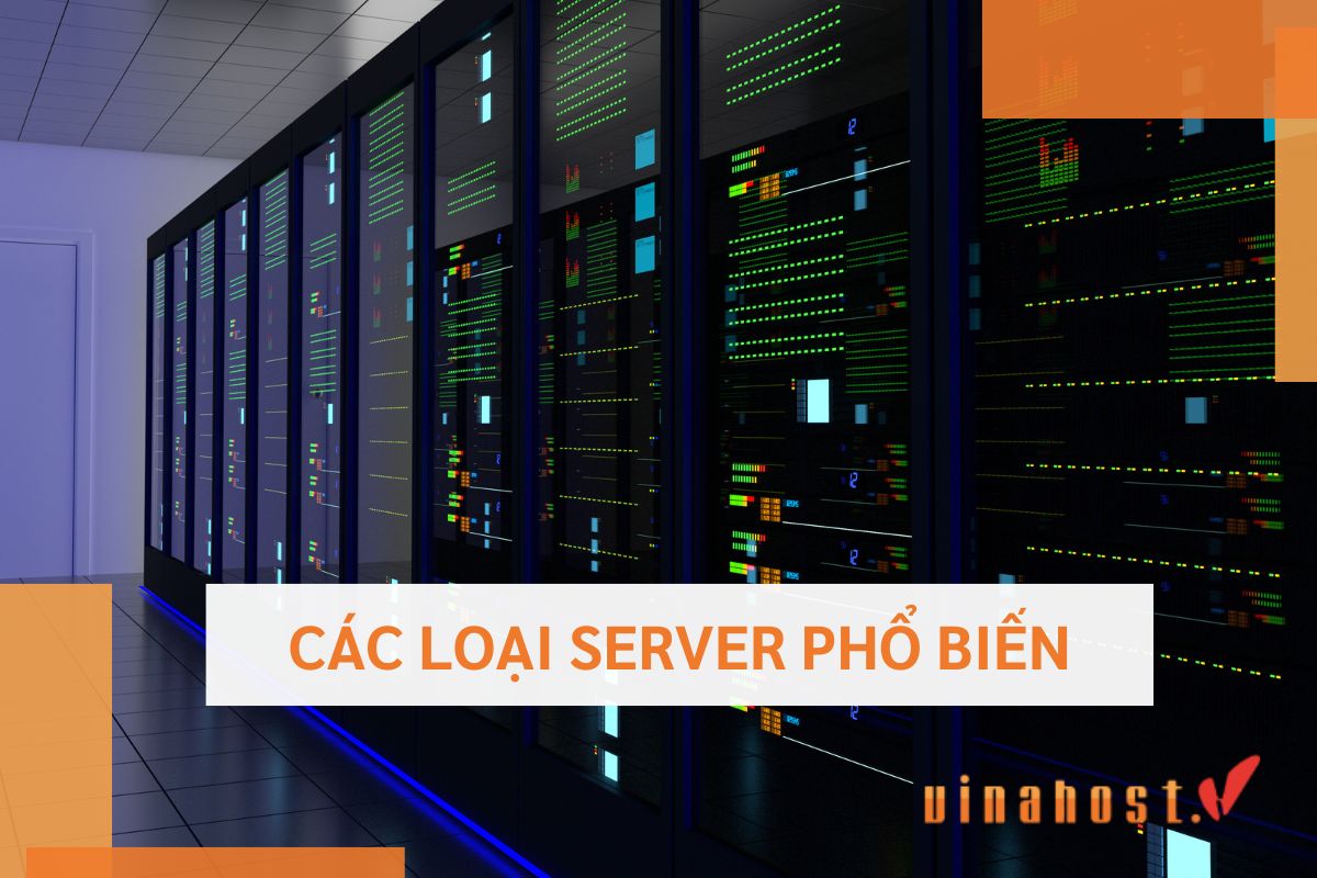 Phân loại theo chức năng Server