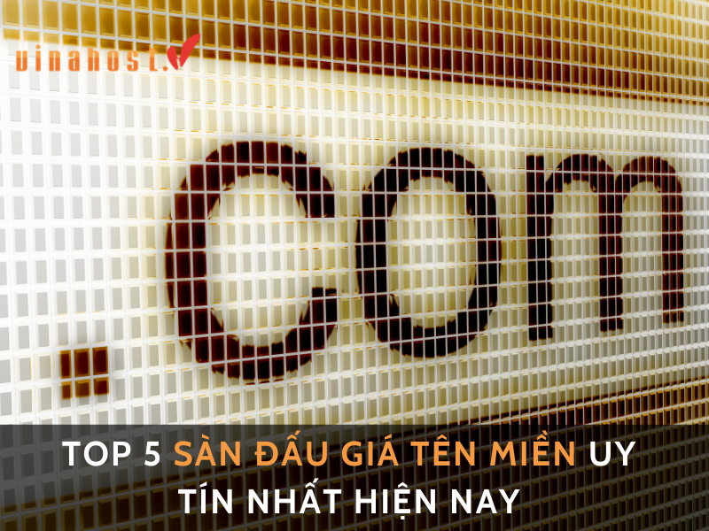 san dau gia ten mien